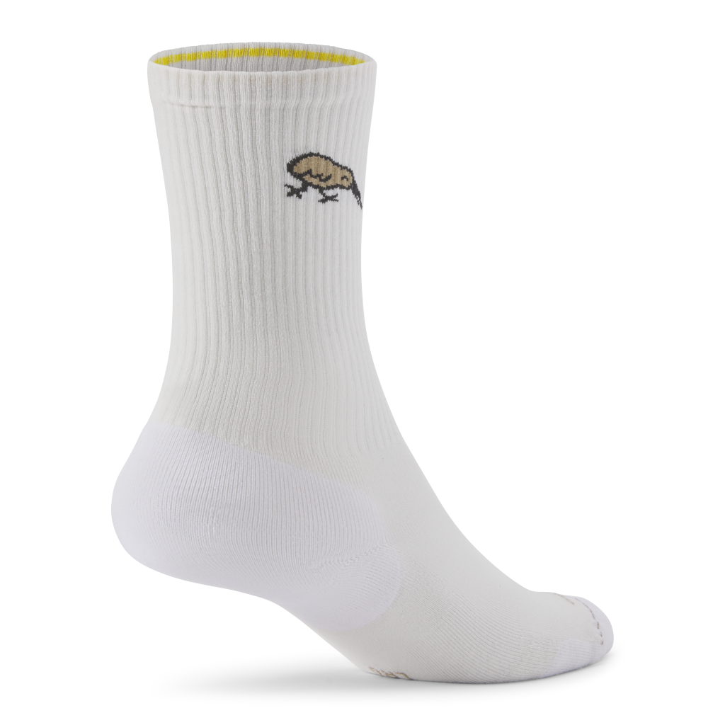 Allbirds Anytime Crew - Kiwi Bird in WEISS