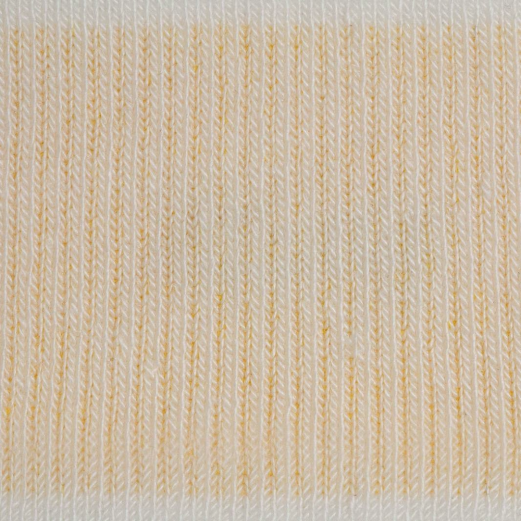 Allbirds Anytime No Show Sock in WEISS